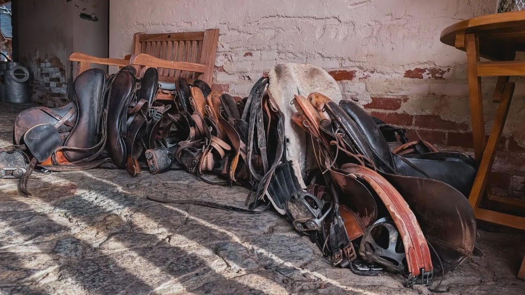 Sillas de montar — equipo real