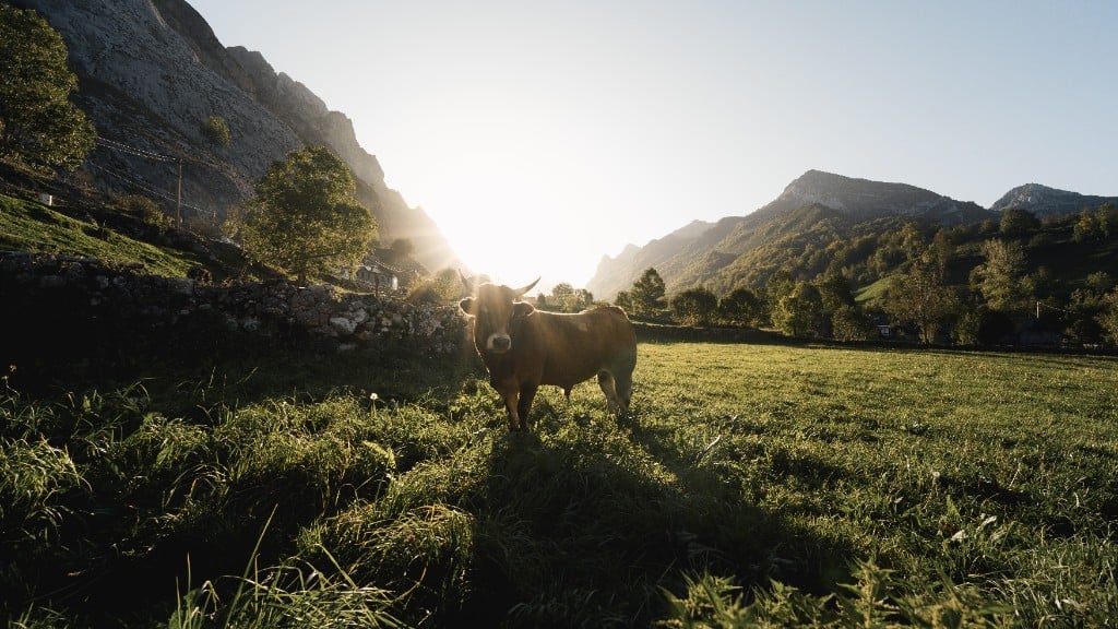 Paisaje asturiano